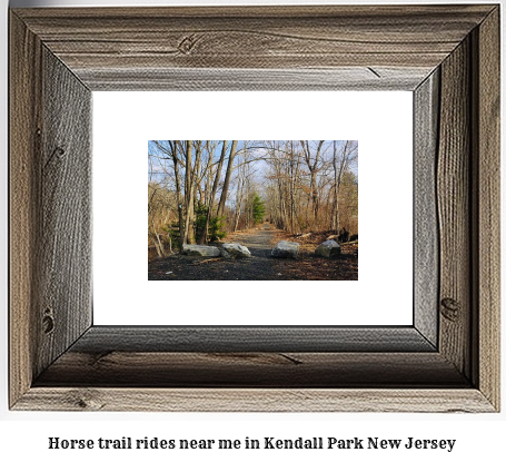 horse trail rides near me in Kendall Park, New Jersey